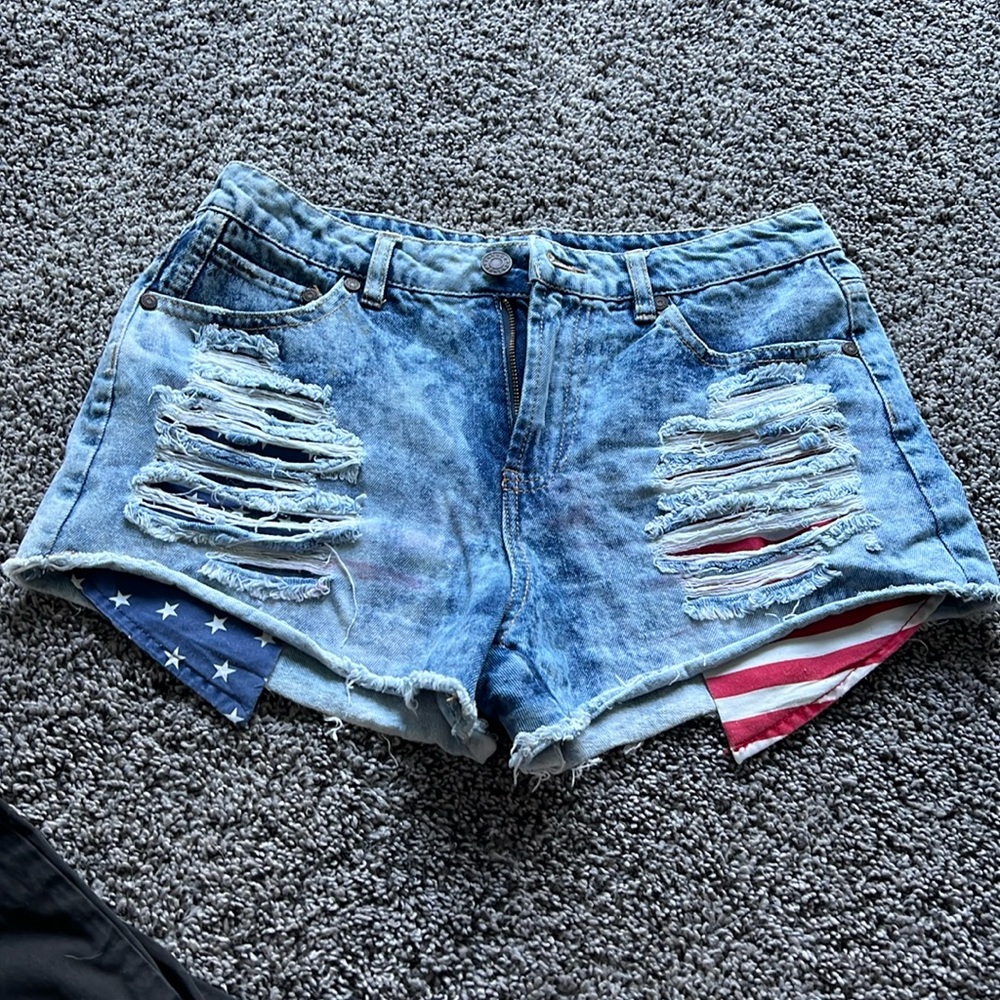 Refuge Flag Shorts